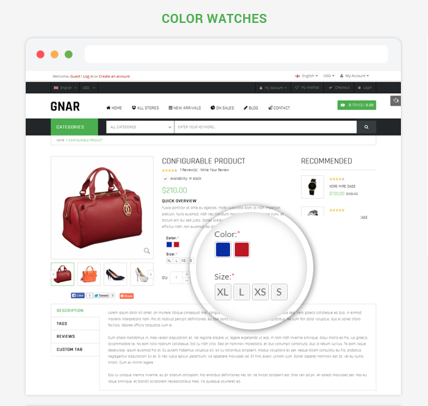 Gnar - Color Swatches