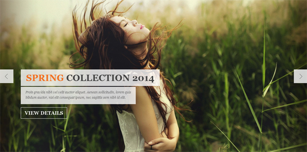 Zana Fashion- Slideshow