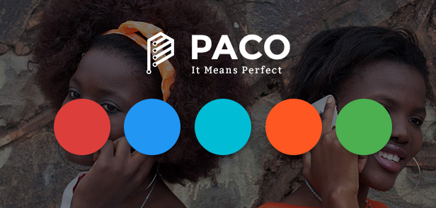Paco - Responsive WooCommerce WordPress Theme - Unlimited Color