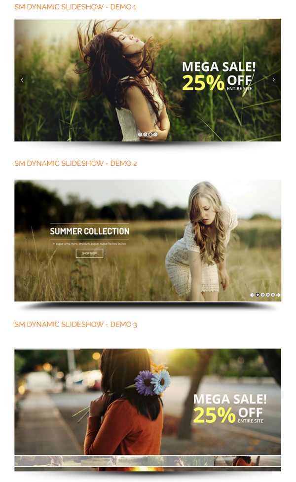 Slider Layout Slider Layout